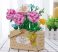 Balody Mini Blocks – Virágkosár Építőjáték Balody Mini Blocks – Virágkosár Építőjáték