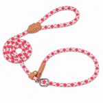   Grand Line tartós, fényvisszaverő kutyapóráz kis-, közepes és nagytestű kutyákhoz, valamint macskákhoz – fulladásgátló kialakítás, 140 cm x 1,4 cm, pink-fehér