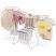 KINGRACK Foldable Wing-Style Clothes Dryer, Blue