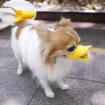 Duck beak-shaped muzzle for dogs. S-size 