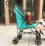 Pet carriage